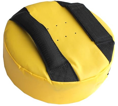 LISARO Top Coach Pratzen/Box Shield/Box-Schlagpolster/Maße Ca. 25 X 9 cm/VENYL-PU RUND Tellerpratzen, Handpratzen, Trainerpratzen, Schlagkissen Focusmitt Coaching pro Stück (Gelb)