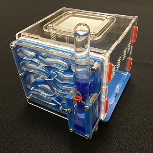 Leane Creatief Ameisenfarm mit Futterplatz, Ameisennest Villa für Haus Ameisen (blau)