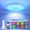 EASY EAGLE Plafón Led Techo, Lampara Techo RGB con Mando a Distáncia y Control APP, Regulable Luz para Salon Dormitorio Baño, Ø30CM 36W