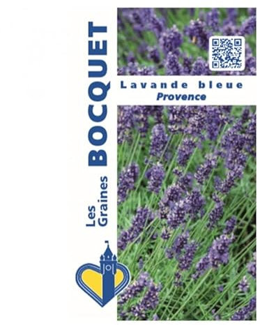 Sachet de graines de Lavande Blue Provence - 0,2 g - fleur vivace - LES GRAINES BOCQUET