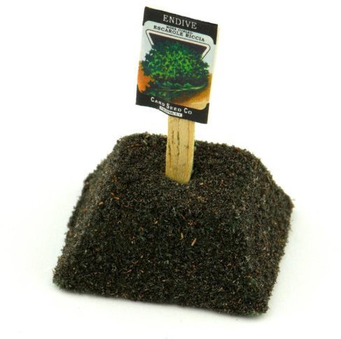 MyTinyWorld Dolls House Miniature Endive Seed Packet With A Stick