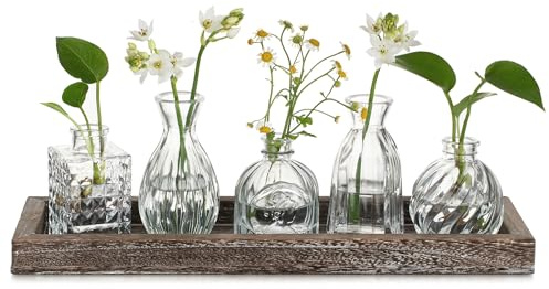 Hewory Vaso Fiori Vasi Centrotavola: 5 Vaso Decorativo da Interno con Vassoio in Legno - Vaso Vetro Trasparente Set Vasi Decorativi Vasetti Vetro per Fiori Centro Tavola Arredamento Soggiorno Casa
