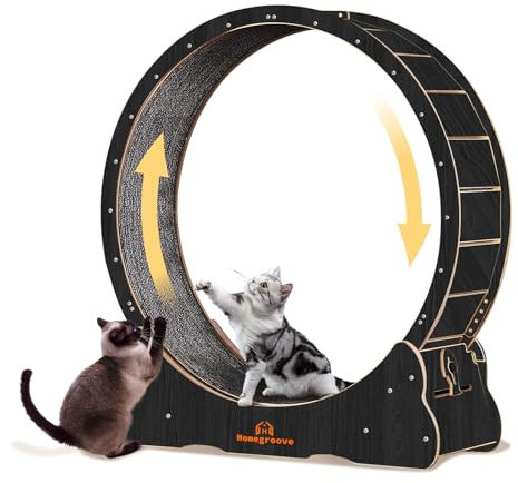 Homegroove Katzenlaufrad, 113 cm Laufrad für Wohnungskatzen, Katzenlaufrad-Laufband mit abnehmbarem Teppich zur Gewichtsabnahme und Gesundheitsförderung bei Katzen (Black, XL)