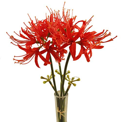 Calcifer 3 Stems Red Spider Lilies Artificial Flowers Lycoris Bulbs (Red)