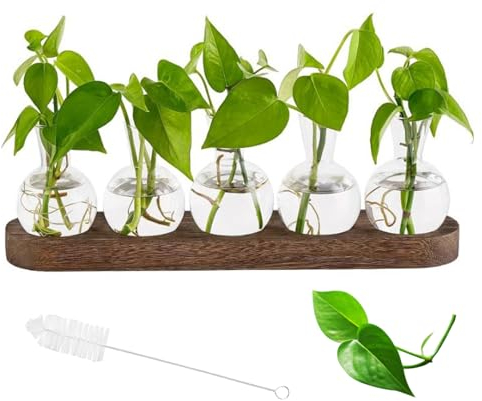 Cyiecweu Blumenvase Vintage Kleine Vasen für Tischdeko, Modern Glas Reagenzglasständer mit Ständer Holz, Plante Propagation Station Für Wohnzimmer, Kleine Geschenke für Geburtstag Weihnachten Hochzeit