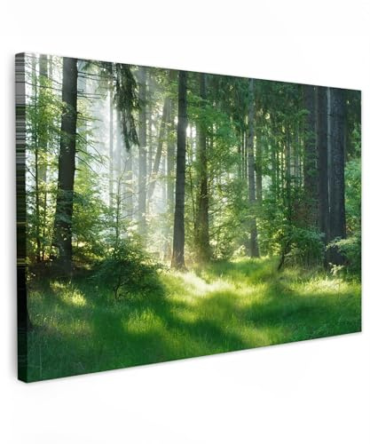 MuchoWow© Stampa su Tela 120x80 cm Canvas Quadri per il Soggiorno Quadro Camera da Letto Decorazioni Parete Natura - Alberi - Foresta - Verde - Sole - Erba - Piante