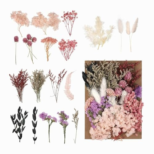Pacchetto di fiori secchi naturali Fiori veri essiccati e conservati Essiccati naturalmente colore preservato Decorazione domestica Regalo Fiori Secchi Decorativi Fiori Secchi Decorativi Per Vaso