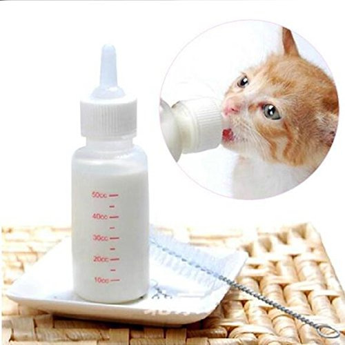 50 Ml Botella De Mascotas Recién Nacido Mascota Pequeño Cachorro Gato Gatito Kitty Conejo Atención De Enfermería Biberón Pezón Cepillo De Leche Feeder