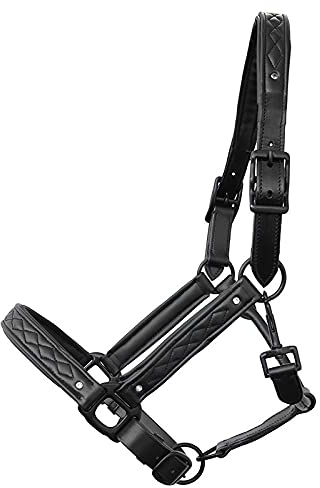 German Riding weiches Lederhalfter Titanium mit 8 Strasssteinen besetzt (Cob gleich VB)