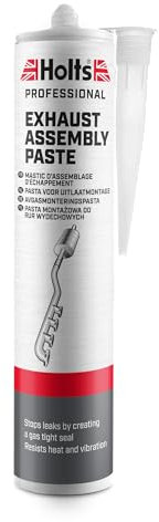Holts LOYPRO29A Pro Cartridge Professional Exhaust Assembly Paste, 300 ml
