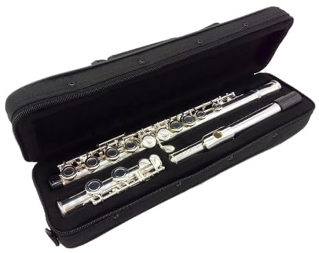 tvärflöjt instrument Flöjt 16 håls musikinstrument