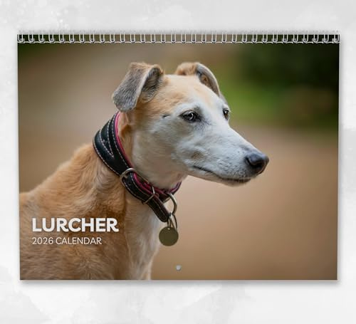 Lurcher-kalender 2026: Månatlig väggkalender med anteckningar, hängande A4-storlek, inkluderar viktiga datum och helgdagar