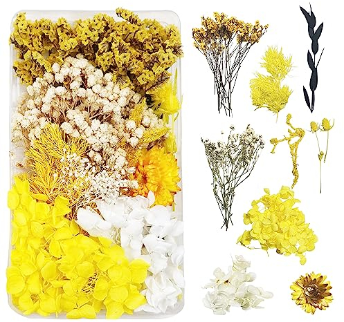 Trockenblumen zum Basteln Trockenblumen Deko Trockenblumen Klein Getrocknete Blumen Deko Trockenblumen Basteln Trockenblumen Set für DIY Basteln Handwerk Epoxidharz Scrapbooking Dekoration（Gelb）C-047E