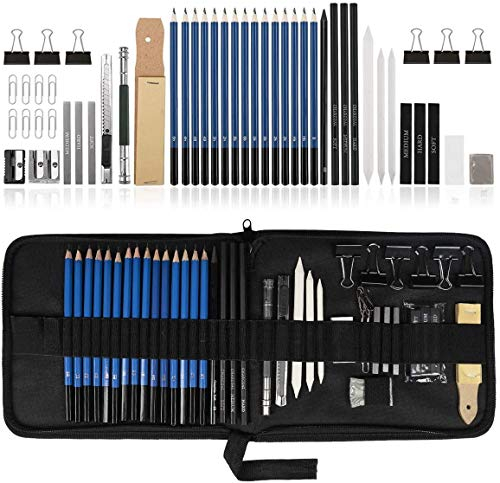 Ulifeme Skizzierstifte Set Bleistifte, Zeichenstifte für Skizzieren und Zeichnen, Zeichnungen Stifte für Anfänger, Künstler und Profi Art mit Graphitkohlestifte Sticks Werkzeuge und Kit Bag - 50 Stück