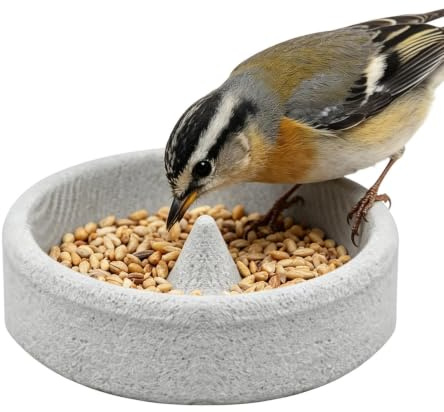 Comederos de Ventana- para Aves al Aire Libre Plato Pequeño