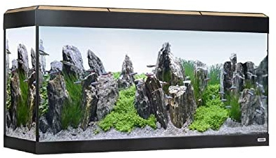 Kit Acuario con iluminación LED Bluetooth Fluval Roma, 200 l, Roble