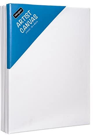 FiNeWaY Pack of 8 Artist Blank White Stretched Canvas Size 30cm X 40cm (12 X 16) - Ideal for Painting and Decorating. (Pack of 8)