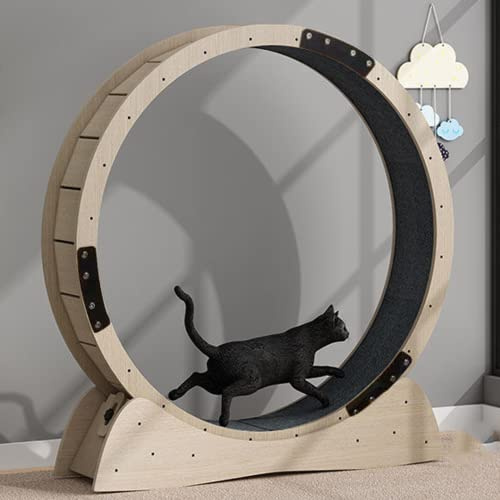 KSWBD Rueda de Ejercicio de Gato Grande para Gatos Interiores, diámetro Exterior de 120 cm, Rueda Gato con Cerradura de Seguridad y Almohadillas de Agarre reemplazables, Rodillos Ruido