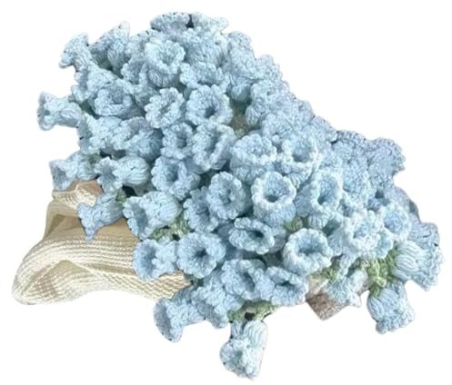 jiingekk Suministros de manta de ganchillo para principiantes aficionados al ganchillo, incluye instrucciones paso a paso para hilos, gancho, manta para principiantes