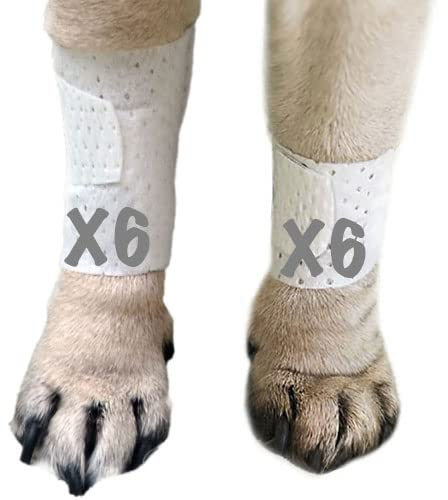 PawFlex Basic Leg Bandages for Dogs, Cats, Pets -First- aid Non Adhesive Fur Friendly, Soft Stretch Wound Care, hot Spots, Fungus, Adjustable Fastening Strap Value Pack (Small 12-Pack)