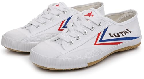 SDEQA Chaussures d'arts Martiaux Hommes Légers Chaussures De Kung Fu Traditionnelles Toile Anti-Dérapant Mode Qigong Formateurs