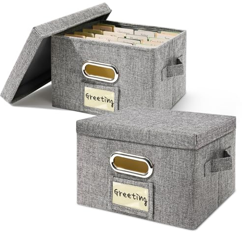 Vienrose Greeting Card Organizer, Scatola Portaoggetti con 20 Divisori Regolabili Pieghevole per 150 Biglietti, Adesivi per Ricette Foto Buste Bollette Dischi in Vinile, Grigio, 2 Pacchetti
