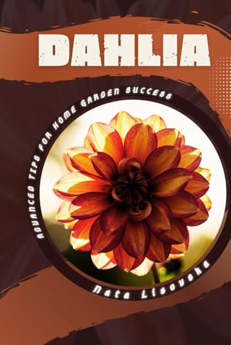 Dahlia: Advanced Tips for Home Garden Success