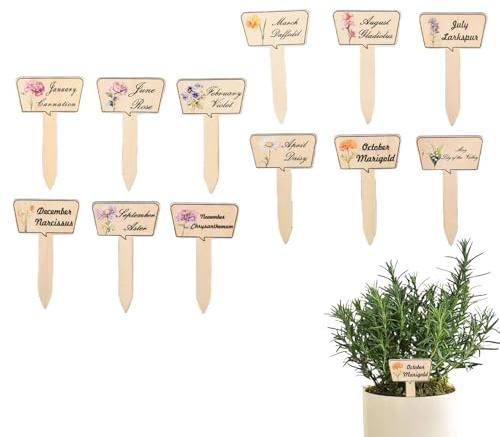 Fyrdyn Marcadores de Jardín,Estacas Decorativas Exteriores 12 Unidades - Marcadores Resistentes para Hortalizas, Flores y Plantas Suculentas