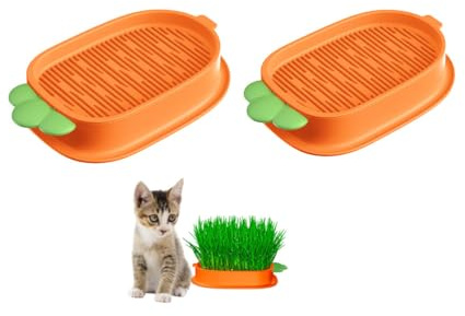 Changyeah - Kit de cultivo de hierba para gatos (2 macetas de crecimiento, caja de plástico, bandeja de brotes hidropónica, para gatos y animales de compañía (naranja)