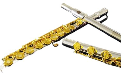 Flauto traverso flauto per principianti Flauto con bocchino in nichel argento Strumento per flauto professionale a 17 fori strumento di prova