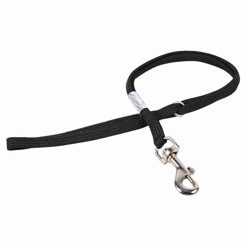 TICFOX Pettorina di ritenuta per Animali Regolabile con Cappio per toelettatura Professionale per Cani con Scivolo in Metallo a sgancio rapido per Tavolo Bagno e toelettatura Si (Fibbia Piccola