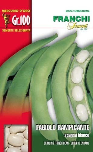 Franchi sementi semi di fagioli e fagiolini nani e rampicanti in confezioni varie (rampicante spagna bianco, 100 grammi)