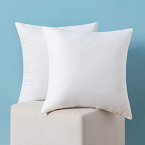MIULEE Kudde 60 x 60 cm fyllning om 2, tvättbar kuddfyllning soffkudde, stoppning innerkudde, dekorativa kuddar, polyester fyllningskudde, som soffkudde, dekorativa kuddar, örngott 30 x 50
