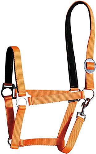 Harry's Horse Halster Padded, Farbe:orange, Größe:x-Full
