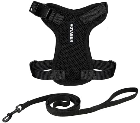 Voyager Step-in Lock Cat Harness and Reflective Cat Leash with Neoprene Handle by Best Pet Supplies - Supports Small, Medium and Large Breed Cats, Black, size XXS - 5ft