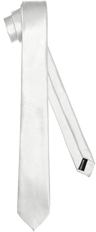 Ladeheid Cravate classique pour hommes, brillante, parfaite pour le travail et les festivités, couleurs variées - Idéale pour les réunions d'affaires, mariages TMS-5 (150cm x 5cm, Argent)