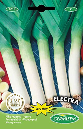 Germisem Electra Semillas de Puerro 2 g