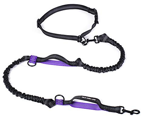 Mile High Life Manos Libres retráctiles para Perros Leash Bungees Negros Dobles Reflectantes (213CM, Púrpura)