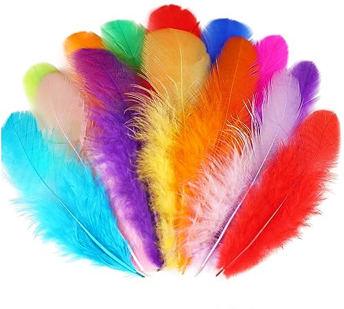 Soarer Pack of 300 Colourful Rooster Feathers 3-5 Inches Coloured Feathers for Kindergarten, DIY Crafts, Wedding, Party, Decorations, Dream Catcher Supplies Scrapbooking Embellishments (Multicolored)