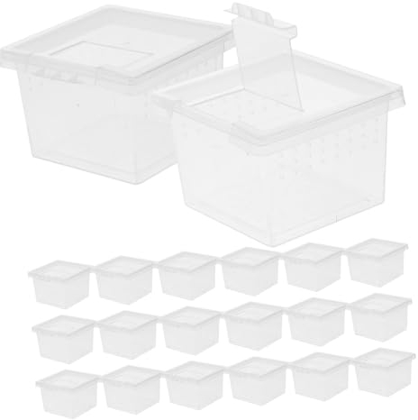 Hohopeti 20pcs Insect Habitat Box Insect Feed Bin Creative Incubator Small Incubator Box for Tarantula Feeding Enclosure Tank for Spider Feeding Reptile Tank