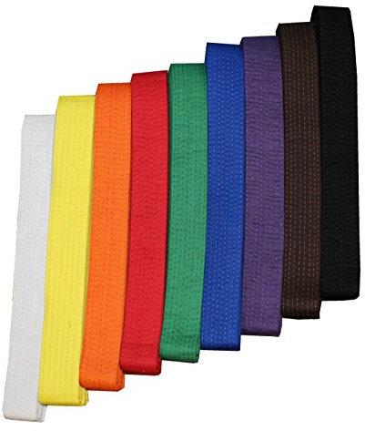 S.B.J - Sportland Budogürtel/Kampfsportgürtel schwarz, 300 cm