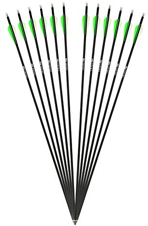 12 Stück Komplettpfeil Drake Fire Carbon-Hybrid Pfeil für Bogenschießen 30 Zoll Bogen Pfeil