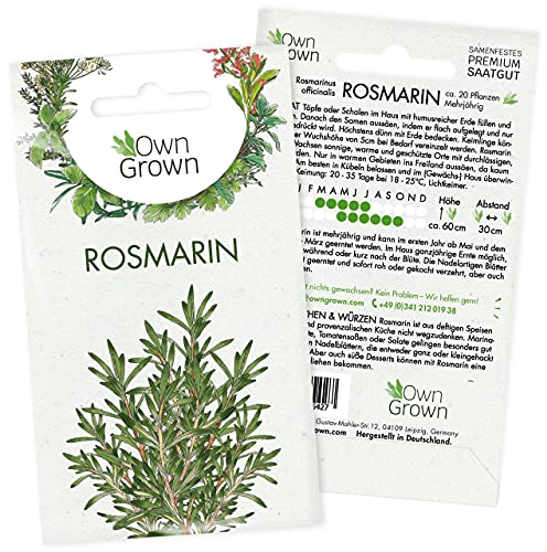Rosmarin Samen: Premium Rosmarin Saatgut für die Anzucht für ca. 20x Rosmarin Pflanze mehrjährig – Rosmarin Pflanzensamen Balkon und Garten – Küchenkräuter Samen – Kräuter Samen Rosmarin von OwnGrown