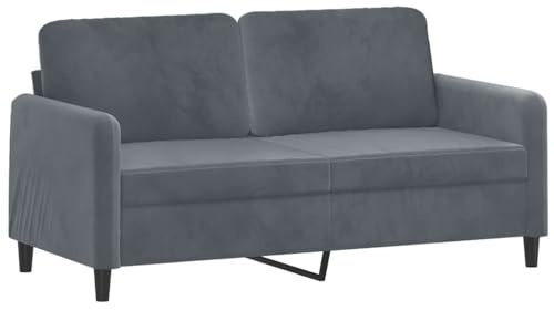 vidaXL Canapé à 2 Places, Causeuse avec Accoudoirs, Siège avec Dossier Rembourré, Meuble de Salon Salle de Séjour, Moderne, Gris Foncé Velours