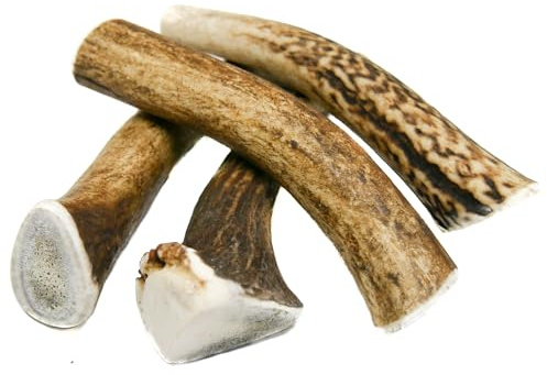 RF - Deer Set di Cervo per Cani 100% Naturale Osso di Cervo per Cani Masticativi Naturali, Giochi e Snack Bocconcino per Cane Taglia M HARD Version 5 Pezzi 255-350 g 11-13 cm