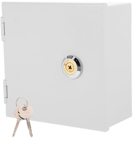 MAGICLULU Scatola Stazioni Ricarica e Veicoli di Elettrici Prese Blindino in Acciaio Inossidabile Anti-theft Protezione Elettrica con Lucchetto da Esterno Serranda