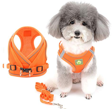 Zunea Small Dog Harness and Lead Set No Pull Puppy Vest Harnesses Adjustable Reflective Soft Mesh Step-in Pet Cat Harness Escape Proof for Walking, Bright Colors for Dogs Orange XS
