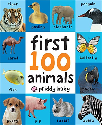 First 100 Big Board: Animals: In the bestselling First 100 series