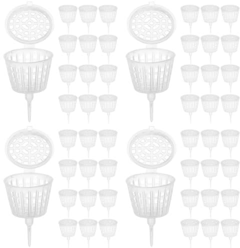 UKCOCO 120pezzi Contenitori Inossidabile Per Fertilizzante Per Bonsai Scatole Per Fertilizzante Fertilizzazione Per Per Appartamento e Balcone