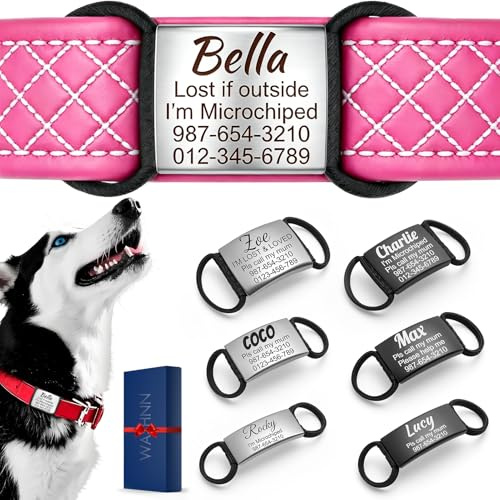 Médaille Chien Silencieuse Personnalisée - Plaque Identification Acier Inoxydable Gravure Laser avec Silicone Anti-Bruit pour Petit Moyen Grand Chien et Chat - Silent Dog Tag